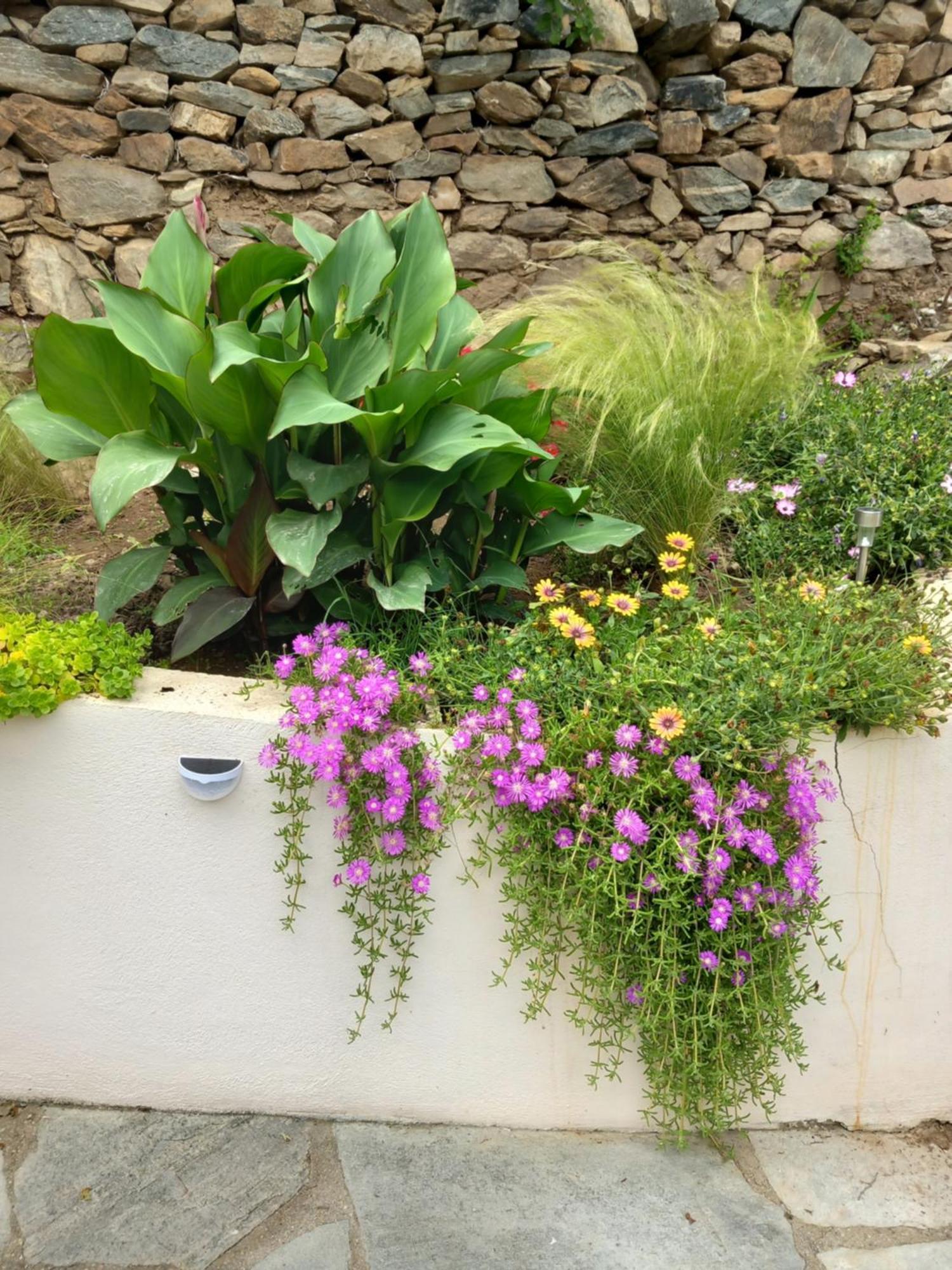 Green Meadow Elevtherai Εξωτερικό φωτογραφία